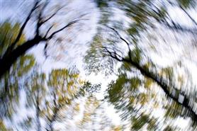 SINDROME VERTIGINOSA E TRATTAMENTO MANIPOLATIVO OSTEOPATICO